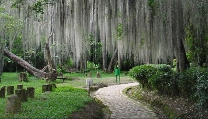 Santander, un destino por explorar 
